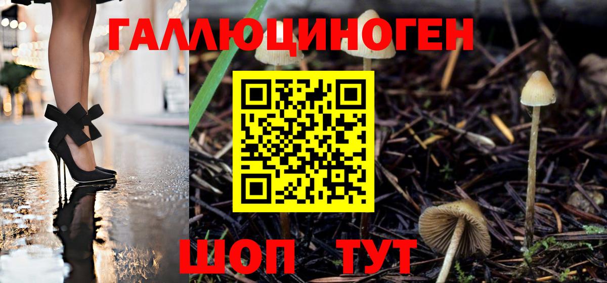 Галлюциногенные грибы мицелий  Вход с VPN  Жигулёвск 